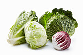 Various heads of lettuce and a savoy cabbage against a white background