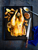 Roast chicken with thyme, potatoes and roasted garlic