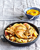 Roasted chicken with apples, fennel, and pumpkin puree