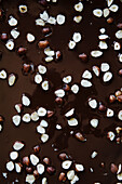 Chocolate hazelnut Bark