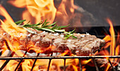 BBQ churrasco meat charcoal fire grill