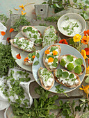 Ciabatta bread with goat's cheese and cottage cheese, topped with various types of cress