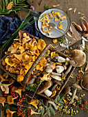 Still life with fresh mushrooms (chanterelles, porcini, birch mushrooms)