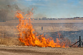 Farmer burning his field