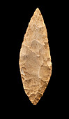 Flint tool