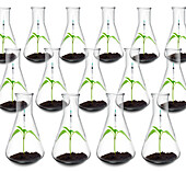 Biotech growth, conceptual image