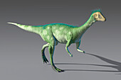 Artwork of Nyasasaurus parringtoni