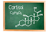 Chemical composition of cortisol, conceptual image
