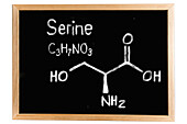 Chemical composition of serine, conceptual image