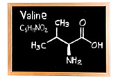 Chemical composition of valine, conceptual image