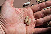 Hand holding vitamin pills