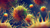 Mimivirus particles, illustration