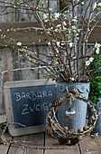 Barbarazweige, Pflaumenblüten, im Zinktopf, Kranz aus Lärchenzweigen mit Weihnachtskugel vor Schiefertafel
