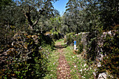 Wegweiser am Wanderweg, Pilgerweg Caminho Central im Landesinneren, Portugal