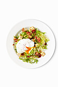 Lyonnaise Salad with poached egg