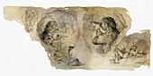 Cave painters, Lascaux, illustration