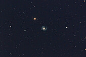 M99 spiral galaxy in Coma Berenices