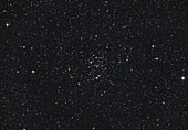 M50 open star cluster