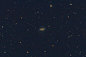 Barred spiral galaxy in Eridanus