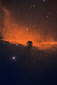Horsehead nebula complex