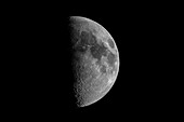 First quarter Moon