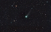 Comet C/2019 L3