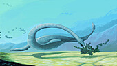 Plesiosaur, illustration