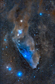 Blue horsehead nebula