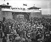 Liberated concentration camp prisoners welcoming US troops