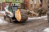 Tree removal in a Detroit neighbourhood, Michigan, USA