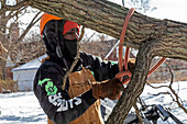 Worker tying knot around a tree whilst doing a tree removal