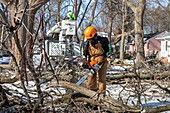 Tree removal in a Detroit neighbourhood, Michigan, USA