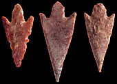 Neolithic flint arrowheads