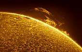 Large solar prominence