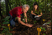Researchers counting fruits and seeds under a yayamadou tree