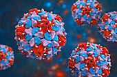 Poliovirus particles, illustration