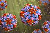 Poliovirus particles, illustration