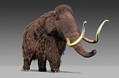 Artwork of a Woolly Mammoth