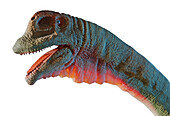 Artwork of Mamenchisaurus