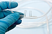 Nasal cannula