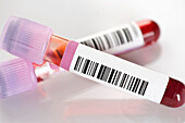 Lavender purple top blood test tubes