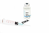 Zika virus vaccine, conceptual image