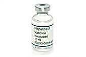 Hepatitis A vaccine