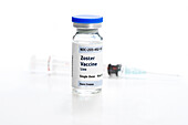 Herpes zoster shingles vaccine