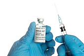 Ebola Zaire virus vaccine