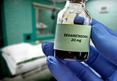 Doctor holding vial of dexamethasone in an operating theater