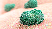 Monkeypox virus emerging from cell, illustration