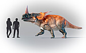 Humans compared in scale to Styracosaurus