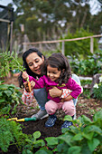 Mother and toddler daughter harvesting carrots in garden