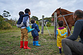 Curious kids watching horses at fence